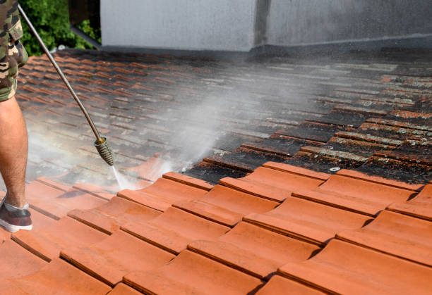 Best Garage Pressure Washing  in Paloma Creek South, TX