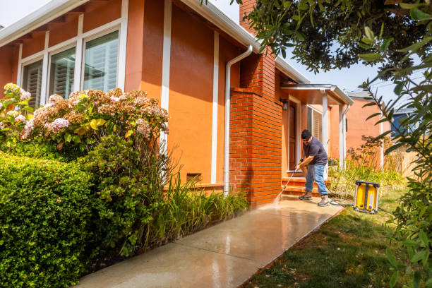 Trusted Paloma Creek South, TX Pressure Washing Experts