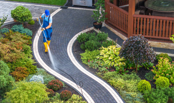 Local Pressure Washing Services in Paloma Creek South, TX