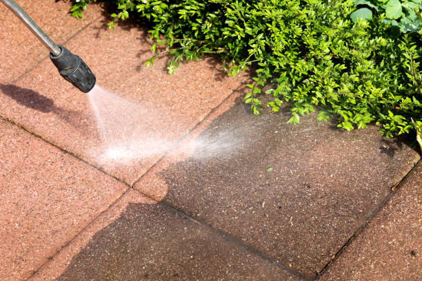 Professional Pressure Washing in Paloma Creek South, TX